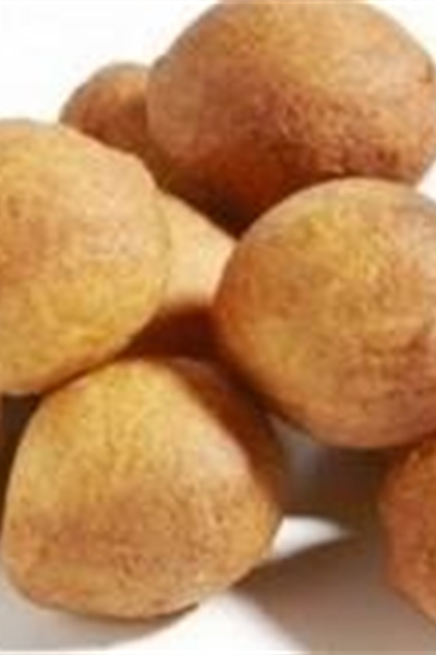Oliebol zonder per 10 stuks